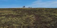 Bear Point Trail
