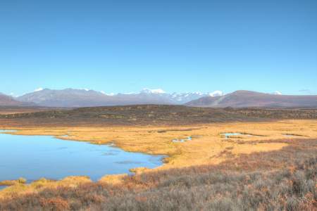 Waterfowl Lakes MP 49.5