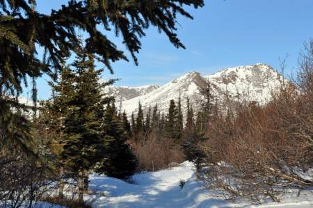 Hemlock Knob Trail